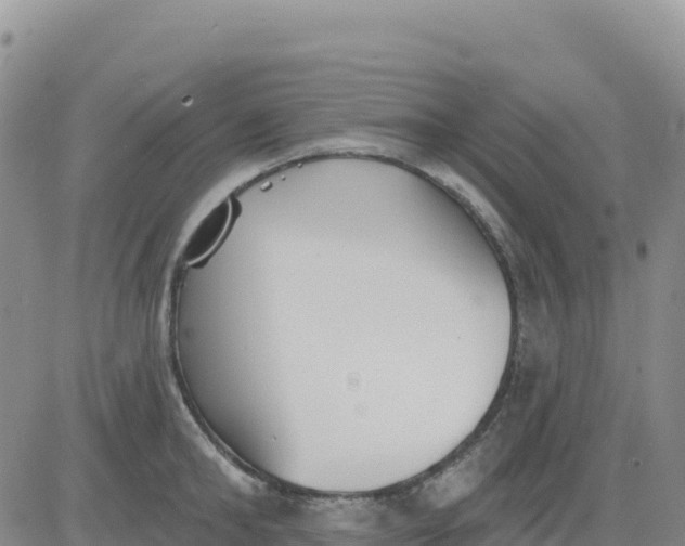 X0000080670902200612301357