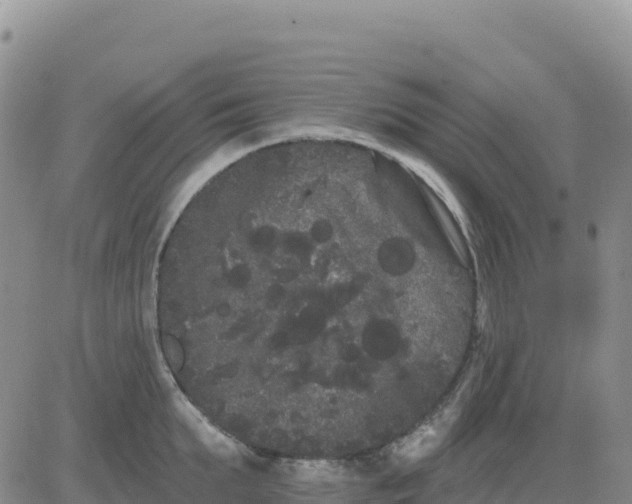 X0000080670903200612301357