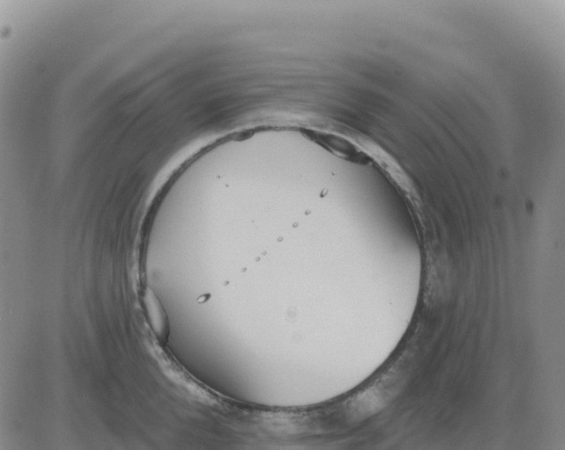 X0000080670904200612301357