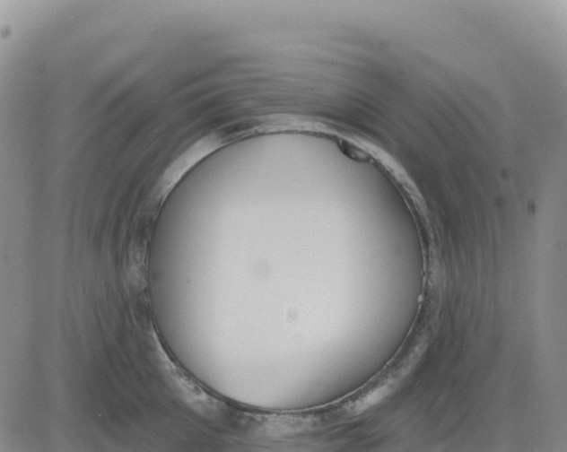 X0000080670905200612301357