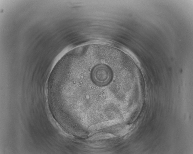 X0000080670907200612301357