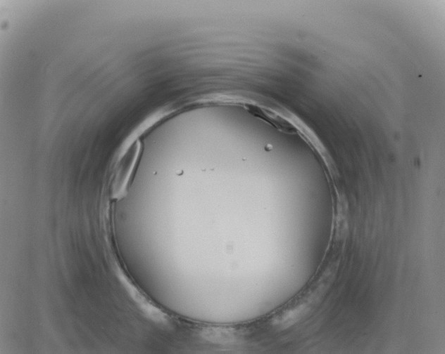 X0000080670909200612301357