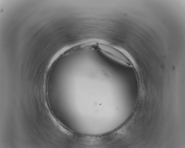 X0000080670910200612301357