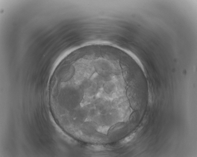 X0000080670911200612301357