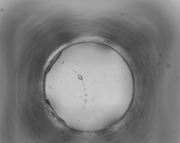 X0000080670912200612301357