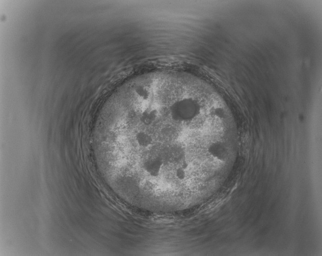 X0000080670913200612301356