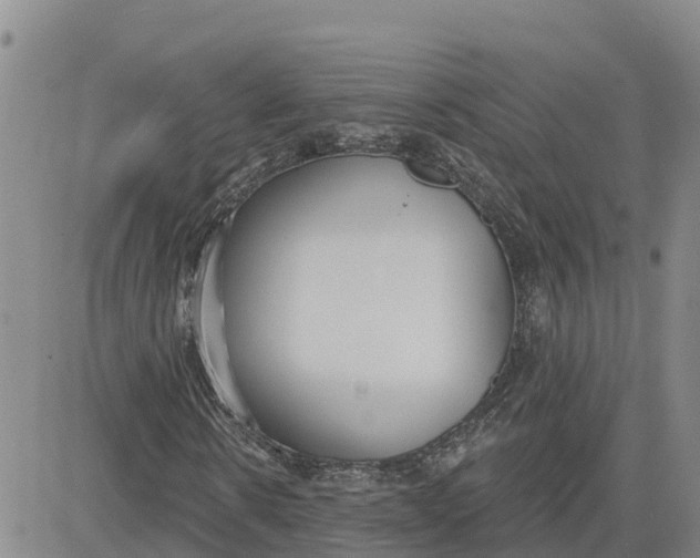 X0000080670914200612301356