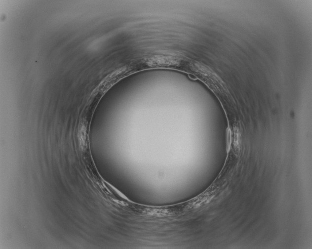 X0000080670915200612301356