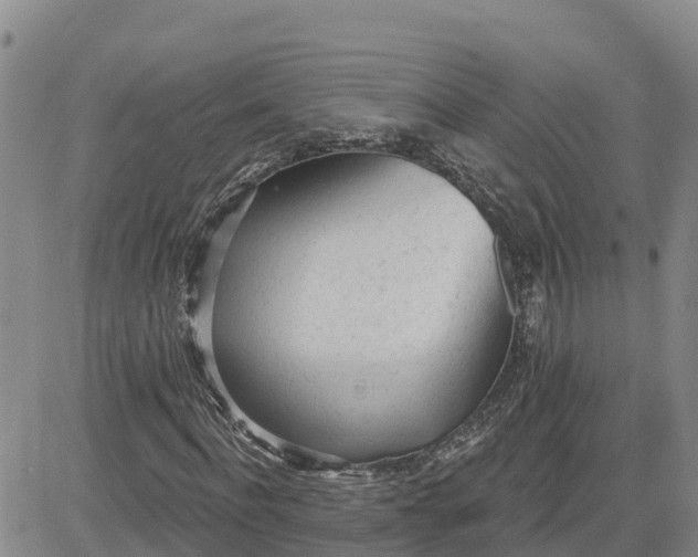 X0000080670916200612301356