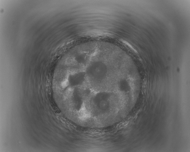 X0000080670917200612301356