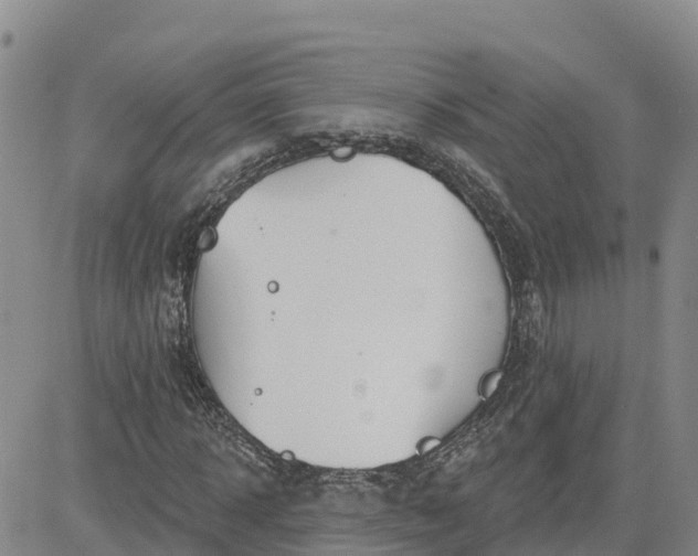 X0000080670918200612301356