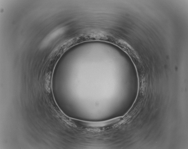 X0000080670919200612301356