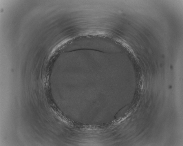 X0000080670920200612301356