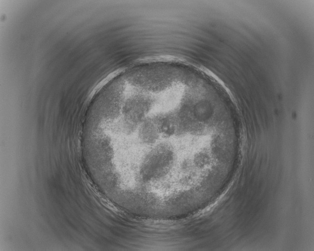 X0000080670921200612301356