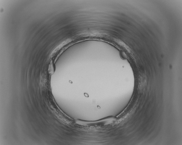 X0000080670922200612301356