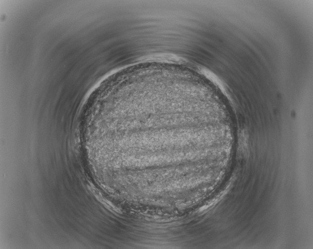 X0000080670923200612301356