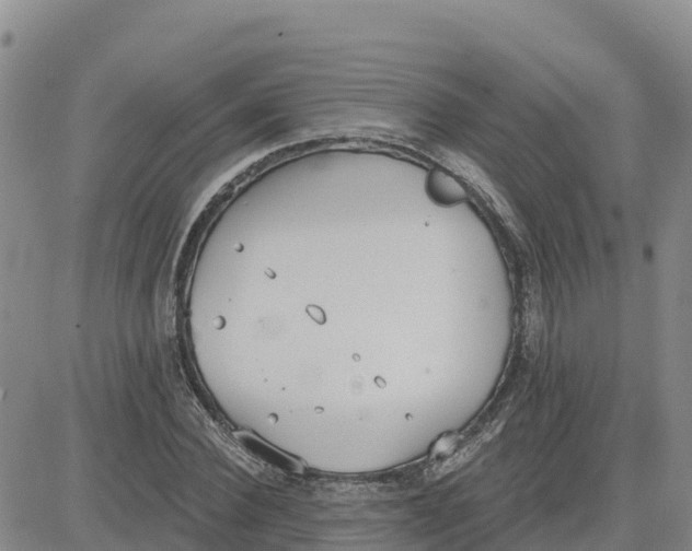 X0000080670924200612301356