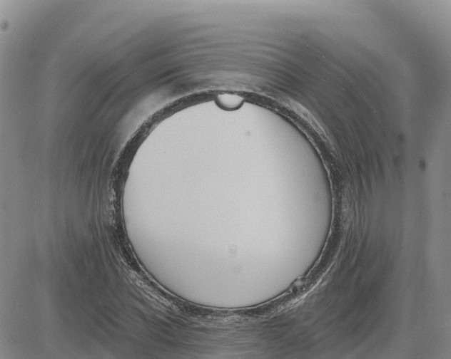 X0000080670926200612301356