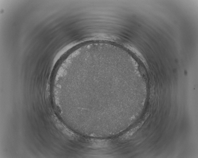 X0000080670928200612301356