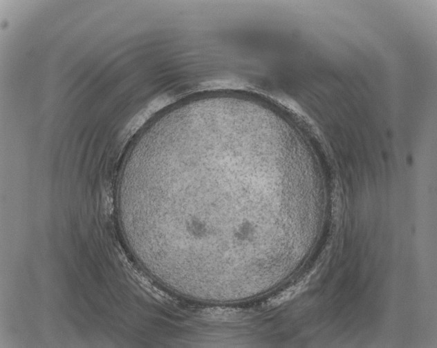 X0000080670929200612301356