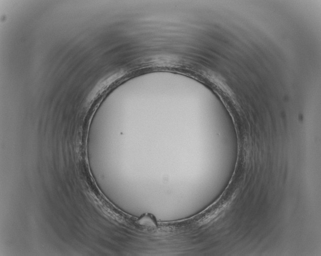 X0000080670930200612301356