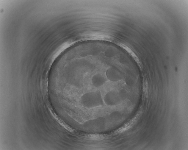 X0000080670933200612301356