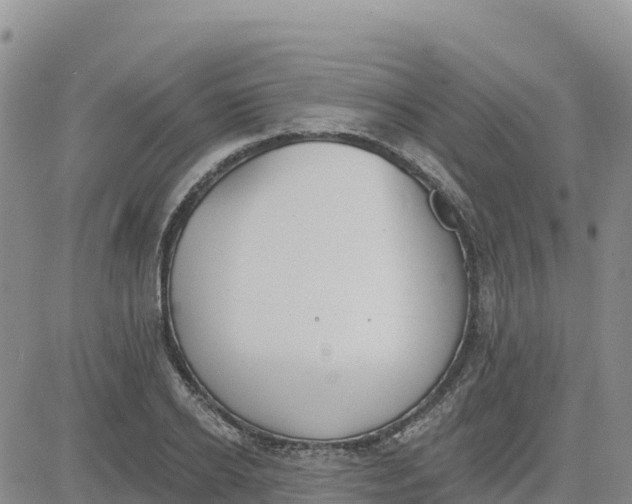 X0000080670934200612301356