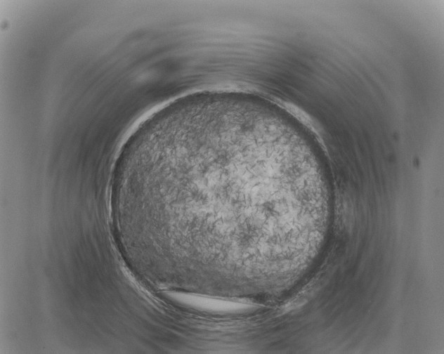 X0000080670935200612301356