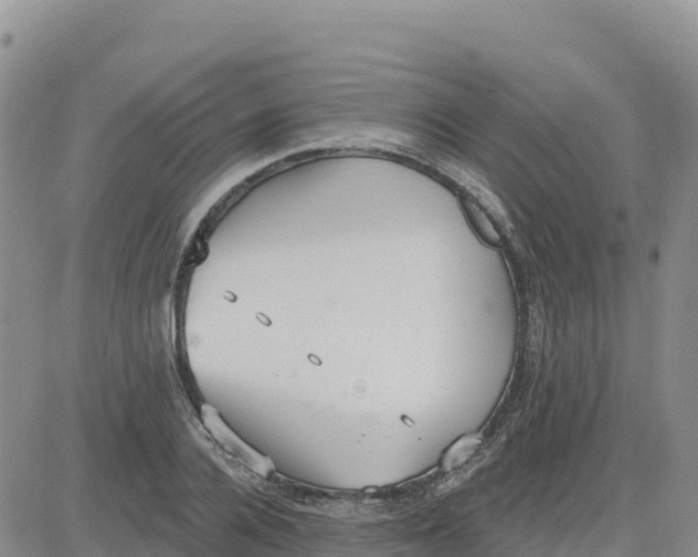 X0000080670936200612301356