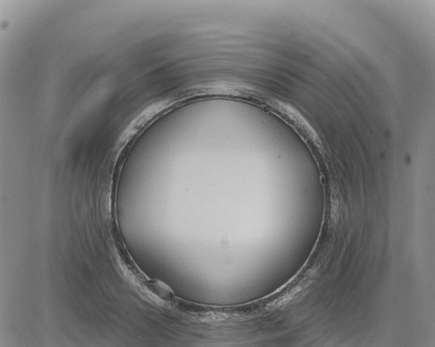 X0000080670938200612301356