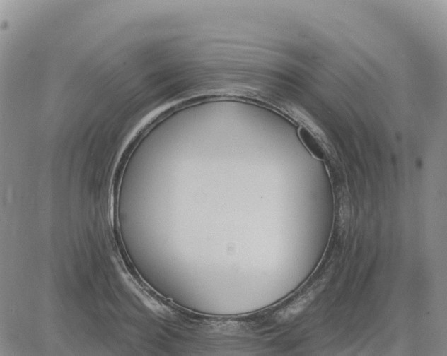 X0000080670940200612301356