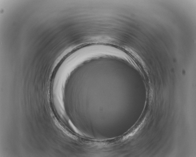 X0000080670941200612301356