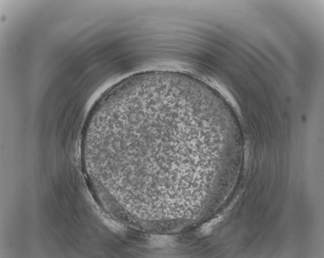 X0000080670944200612301356