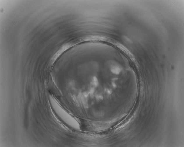 X0000080670945200612301356