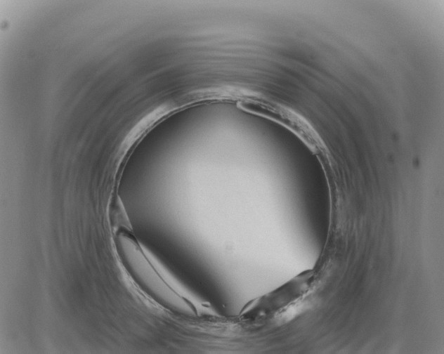 X0000080670946200612301356