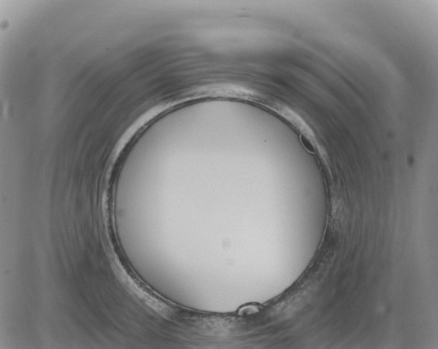 X0000080670947200612301357