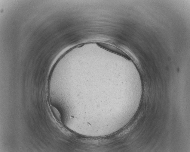 X0000080670948200612301357