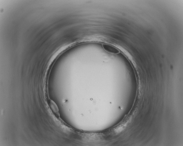 X0000080670949200612301357