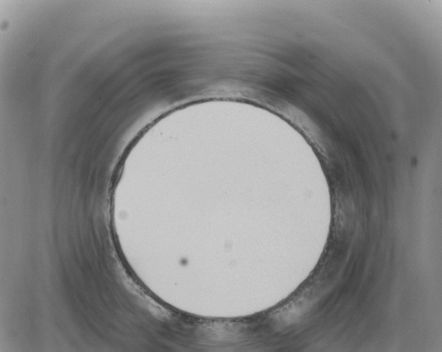 X0000080670950200612301357