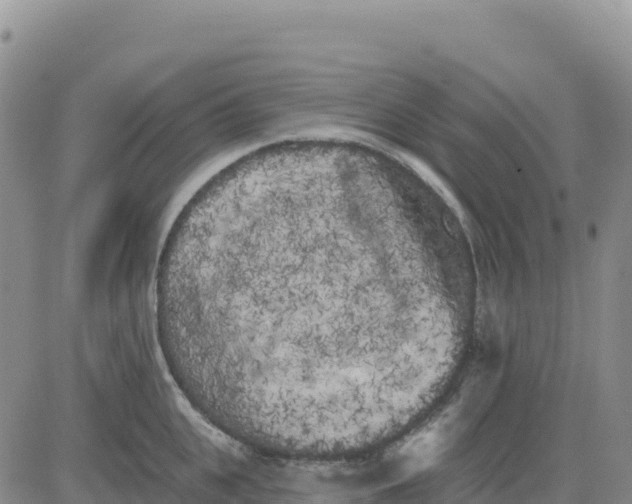 X0000080670951200612301357