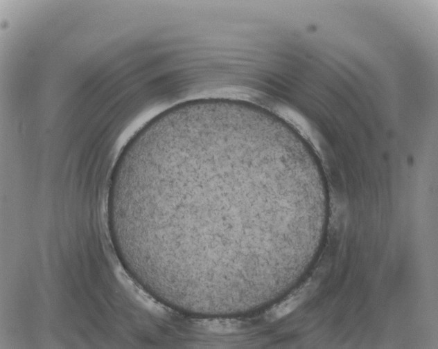 X0000080670952200612301357