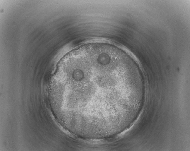 X0000080670953200612301357