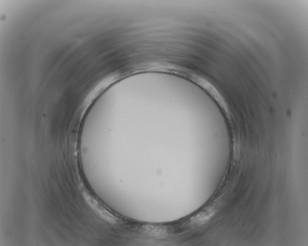 X0000080670954200612301357