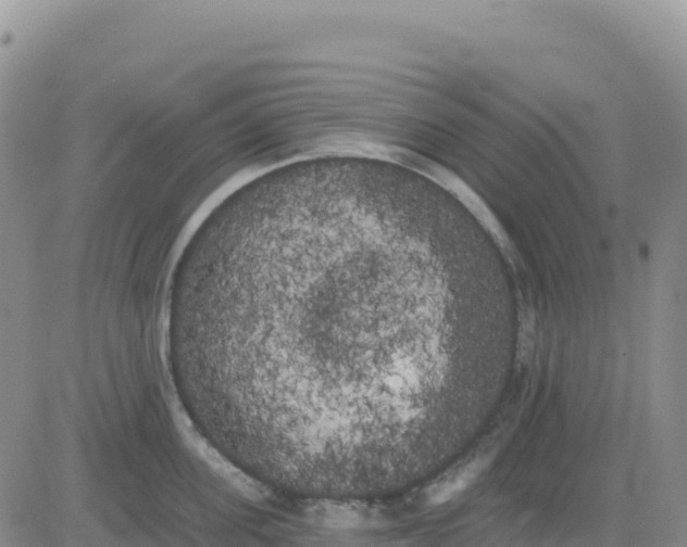 X0000080670955200612301357