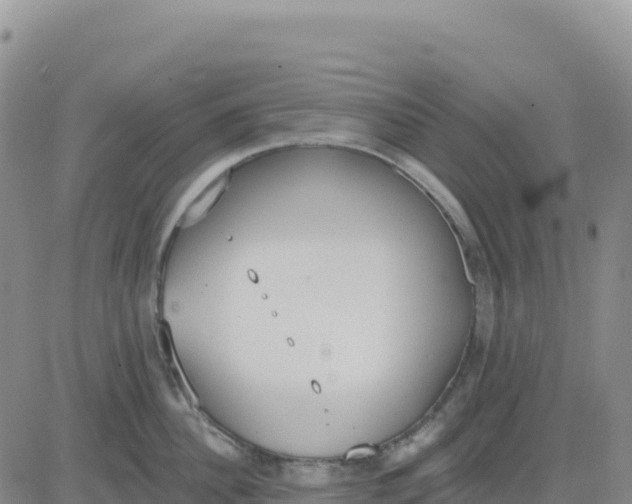 X0000080670956200612301357