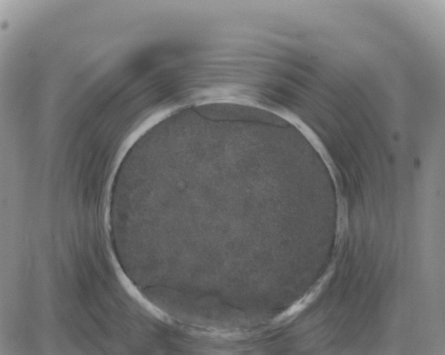 X0000080670957200612301357