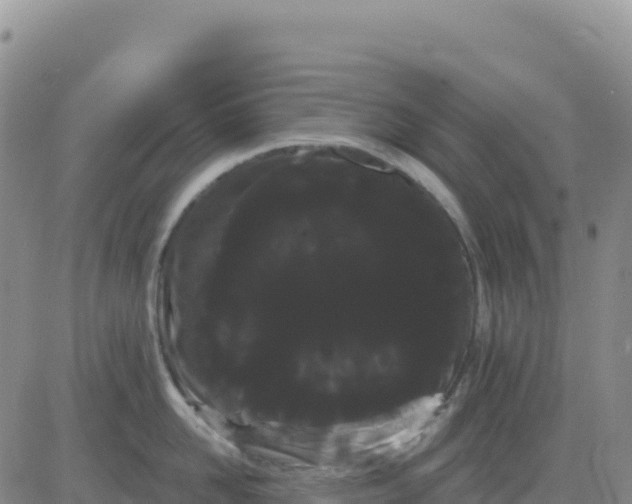 X0000080670958200612301357