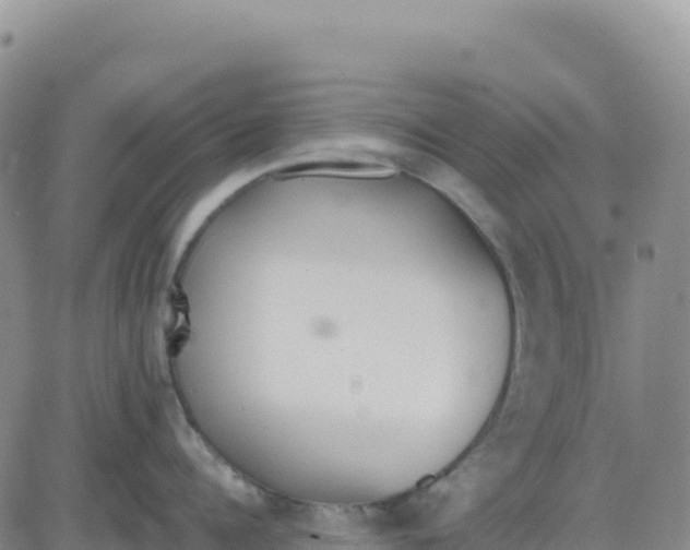 X0000080670960200612301357