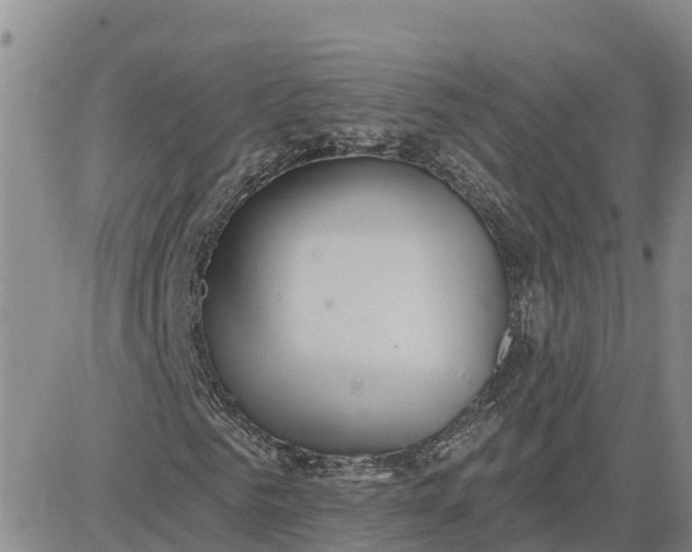 X0000080670961200612301356