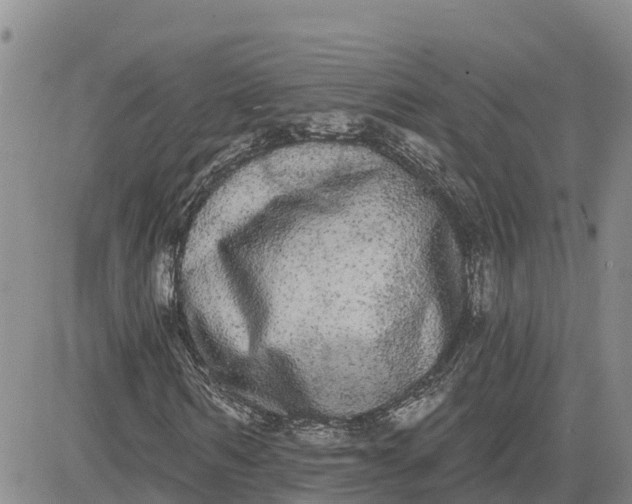 X0000080670962200612301356